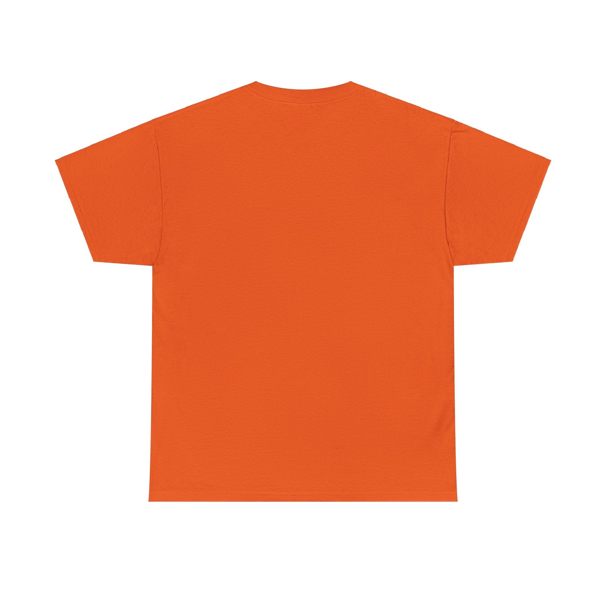 Orange Cat Unisex Heavy Cotton Tee - T - Shirt - Epileptic Al’s Shop