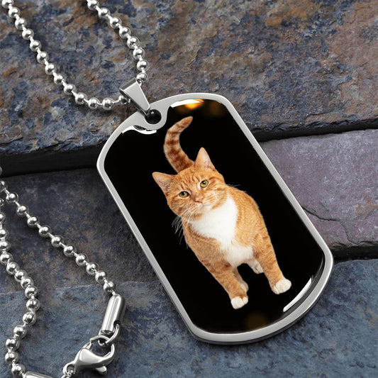 Orange Tabby Necklace - Jewelry - Epileptic Al’s Shop